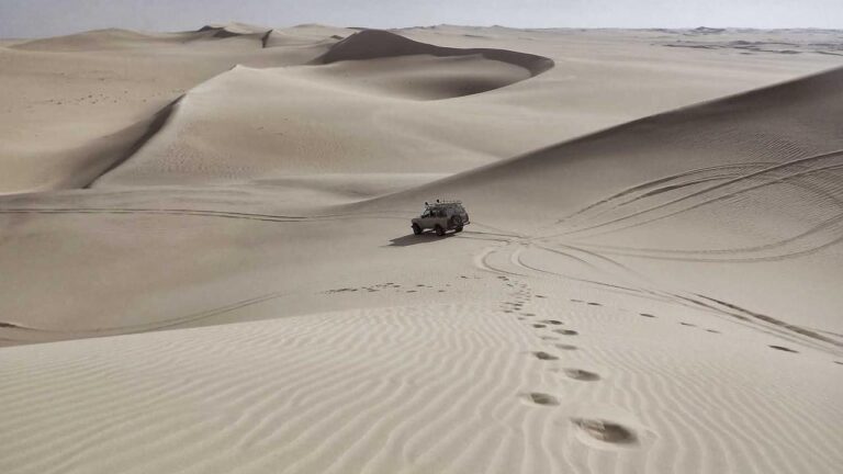 How To Reset A 99Exch Wrong Password Message?