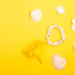 Reddybook Review: How This Digital Platform Is Transforming Education and Why 11xplay Matters